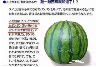 黑吃瓜料网真实吗,真实与否，一探究竟